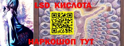 индика Бийск