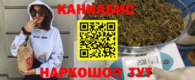индика Бийск