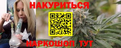 индика Бийск