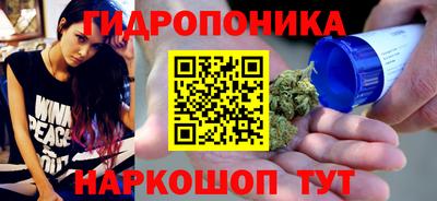 индика Бийск