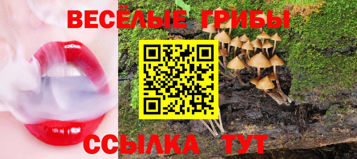 Галлюциногенные грибы GOLDEN TEACHER Кашира
