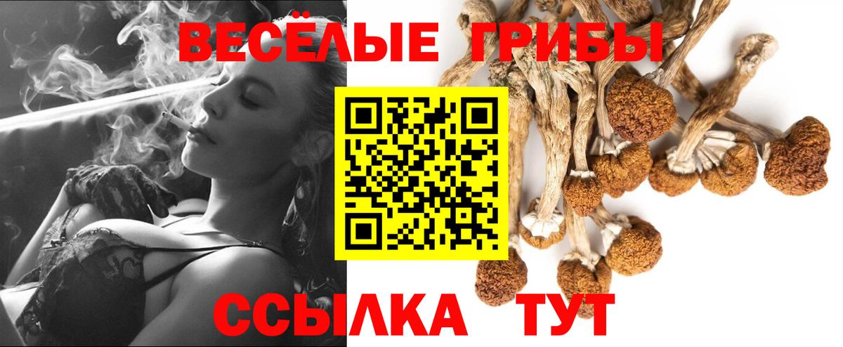 Кашира  Псилоцибиновые грибы прущие грибы  наркошоп  Вход с VPN 